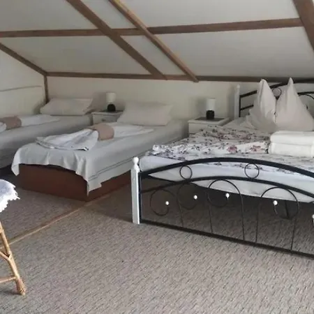 Privat Laura Rum i privatbostad Ždiar